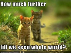 twilight_fan_labyrinth's picture twilight_fan_labyrinth's picture