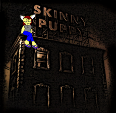 Jesterhead's picture