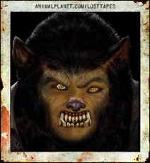 grbn's picture grbn's picture