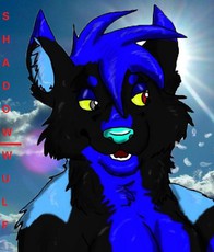 Shadow-Wulf19's picture