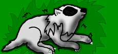 Wolfworld12's picture