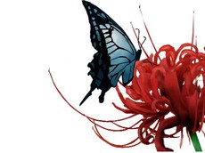 Makeyourchoice's picture