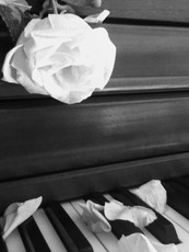 brownhairedmaiden's picture brownhairedmaiden's picture