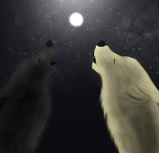 Warriorread13's picture