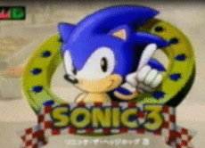 PaperSonicDoor's picture