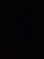 MirianaSarana's picture MirianaSarana's picture