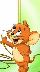 rehankhan576's picture rehankhan576's picture