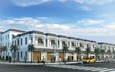 champacagardenvn's picture