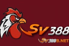 sv388bnet's picture