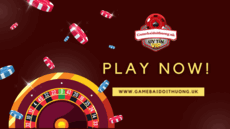 gamebaidoithuonguk's picture