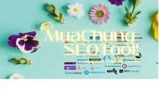 muachungseotool's picture