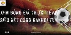 rakhoi22tv's picture