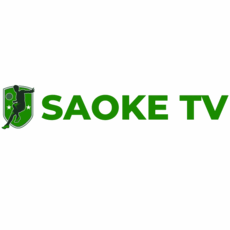 saokenhatnamduong's picture