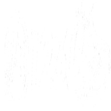 123bmov's picture 123bmov's picture