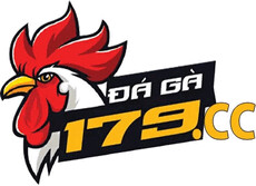 ga179cc's picture ga179cc's picture