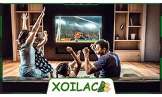 xoilactvcuratorsofclayandharrysan's picture