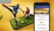 livescore7mvns's picture livescore7mvns's picture