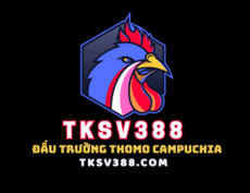 tksv388com's picture