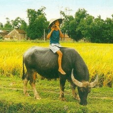 blvcatcom's picture blvcatcom's picture