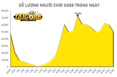 taigo88review's picture