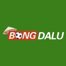 bongdalutel1's picture