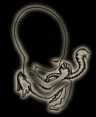 lost-boy's picture lost-boy's picture