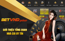 betvndpoker's picture