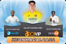 linkkeonhacai's picture