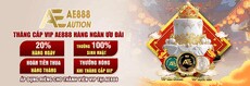 ae888auctioncasino's picture