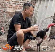 vuonganhtusv388's picture