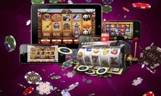 vsportmevn's picture vsportmevn's picture