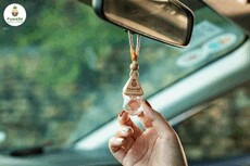 tinhdautreoxeoto's picture