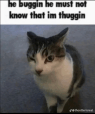 BusinessRat0302's picture BusinessRat0302's picture