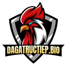 dagatructiepbio9's picture