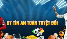 bk8comonline's picture