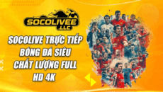 socoliveellc's picture