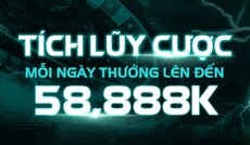 8dayhost's picture 8dayhost's picture