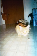 banditdog's picture banditdog's picture