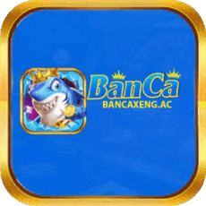 Bancaxengac's picture Bancaxengac's picture