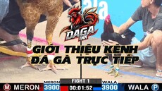 dagaink's picture dagaink's picture