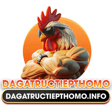 dagatructiepthomoinfo's picture dagatructiepthomoinfo's picture