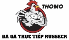 russeckcom's picture