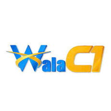 walac1biz's picture