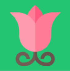 mersinforum's picture