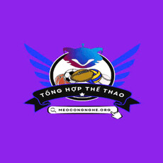 meocongngheorg's picture