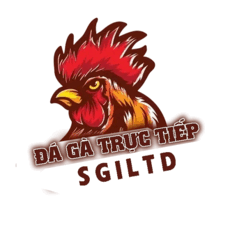 sgiltdcom's picture sgiltdcom's picture