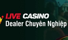 da88net's picture da88net's picture