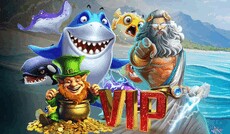 ko66s13team's picture