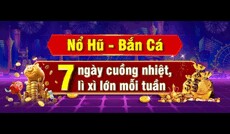 nohu78forex's picture