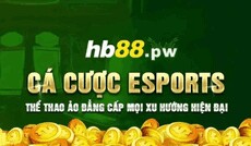 hb88pwcom's picture hb88pwcom's picture